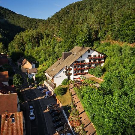 Erfweiler Hotel Die Kleine Blume מראה חיצוני תמונה