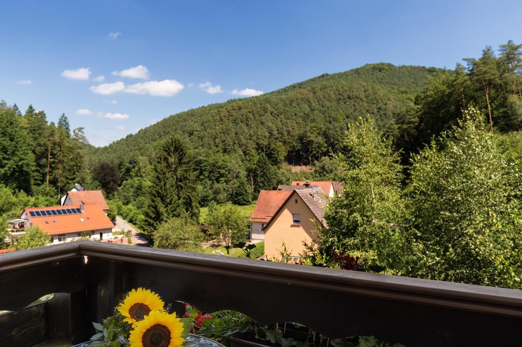 Erfweiler Hotel Die Kleine Blume מראה חיצוני תמונה