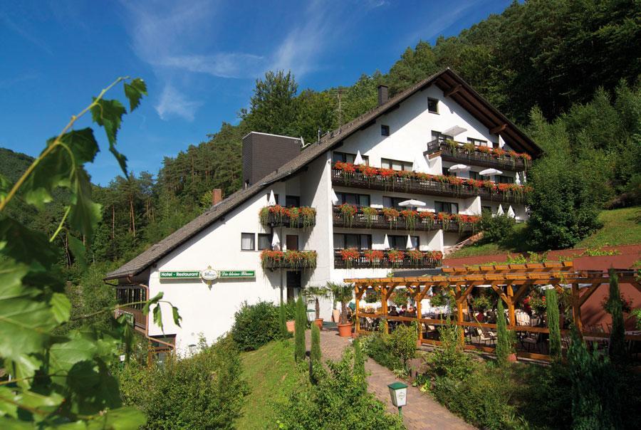 Erfweiler Hotel Die Kleine Blume מראה חיצוני תמונה
